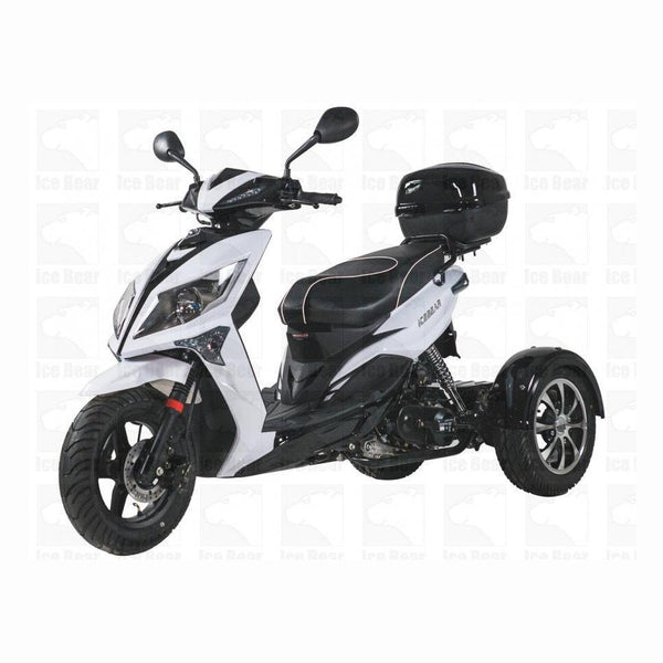 MOJO MAGIC 50cc TRIKE – TurboPowersports.com
