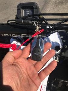 NEW CHEETAH PLATINUM 125 - LIMITED EDITION ATV - TurboPowersports.com