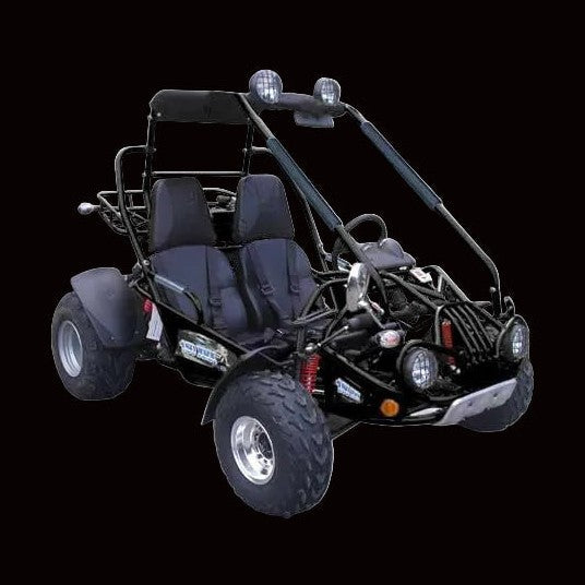 TM 200 XRX GO KART BUGGY – TurboPowersports.com
