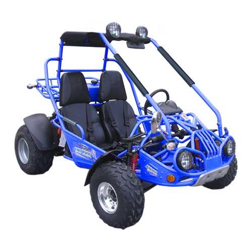TM 200 XRX GO KART BUGGY - TurboPowersports.com