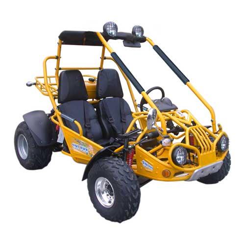 TM 200 XRX GO KART BUGGY - TurboPowersports.com