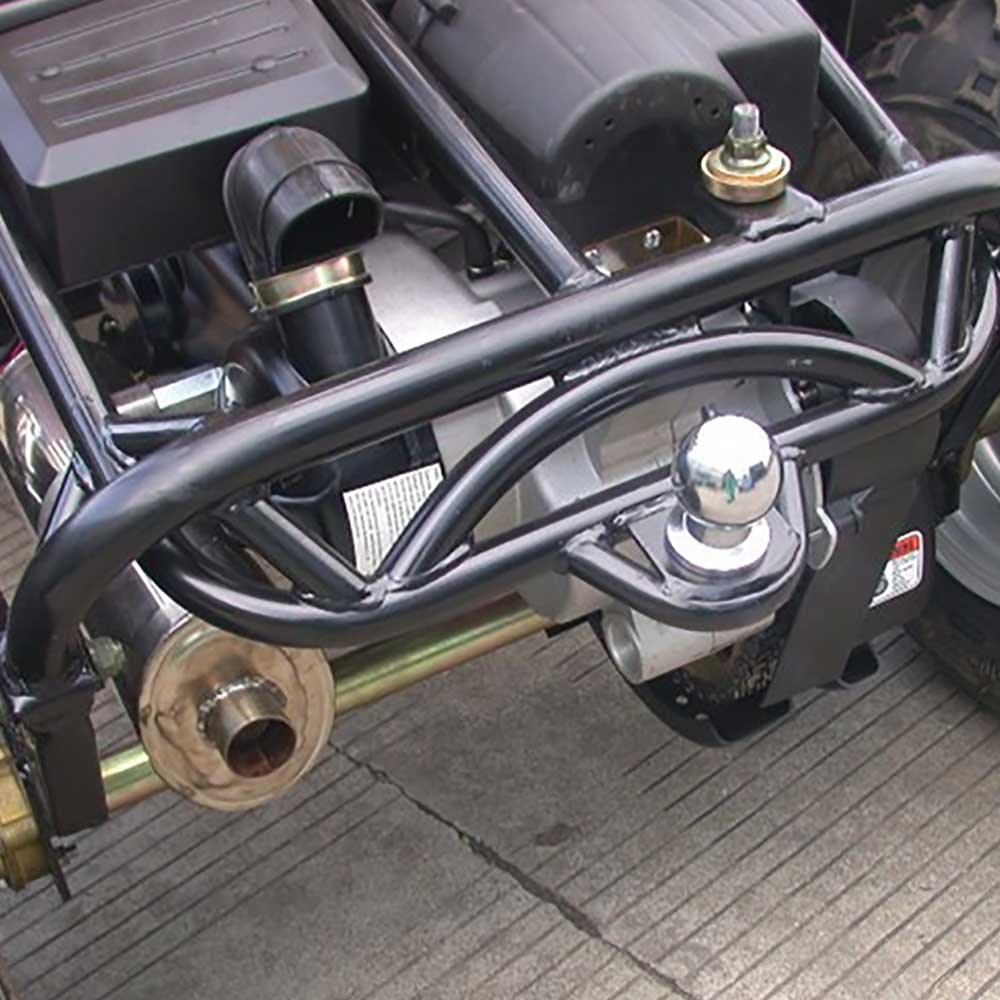 TM 200 XRX GO KART BUGGY - TurboPowersports.com