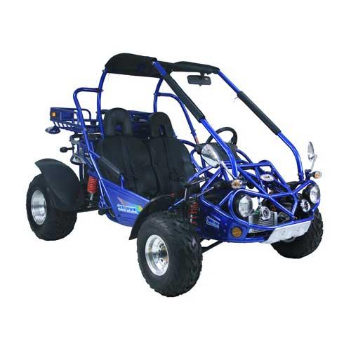 300cc Go Kart XRX-E EFI Fuel Injected Automatic CVT w/Reverse Dune Buggy - TurboPowersports.com