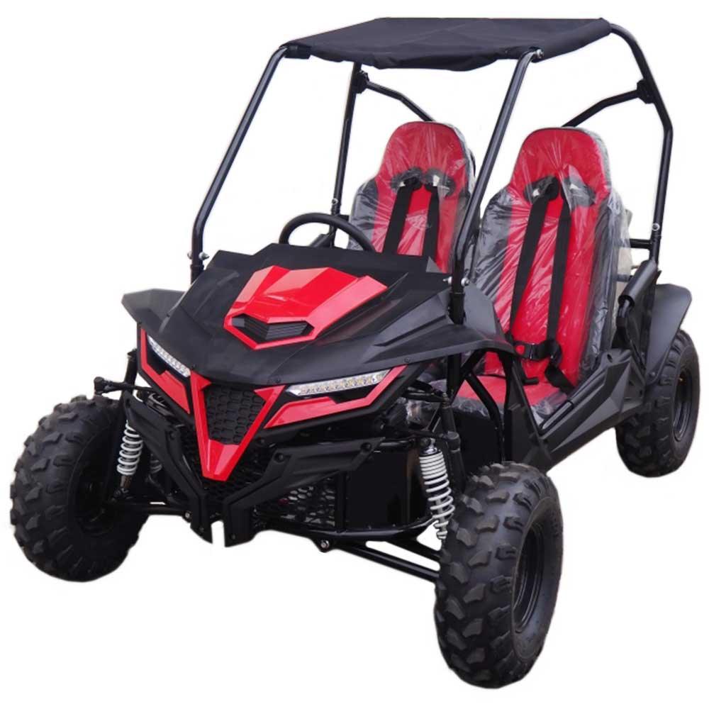 200cc EFI Cheetah UTV Utility Vehicle Go Kart Fully Automatic With Reverse - Cheetah 200 - TurboPowersports.com