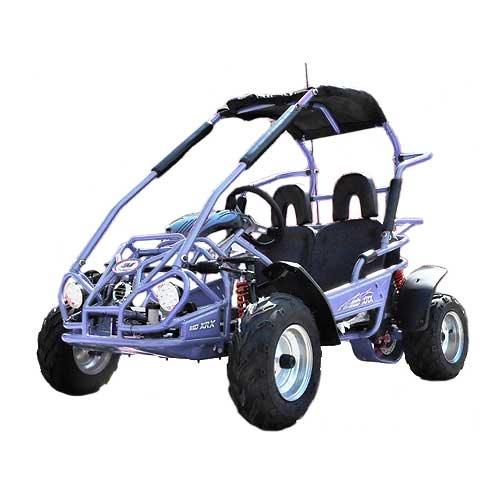 TM EAGLE MID XRX GO KART – TurboPowersports.com