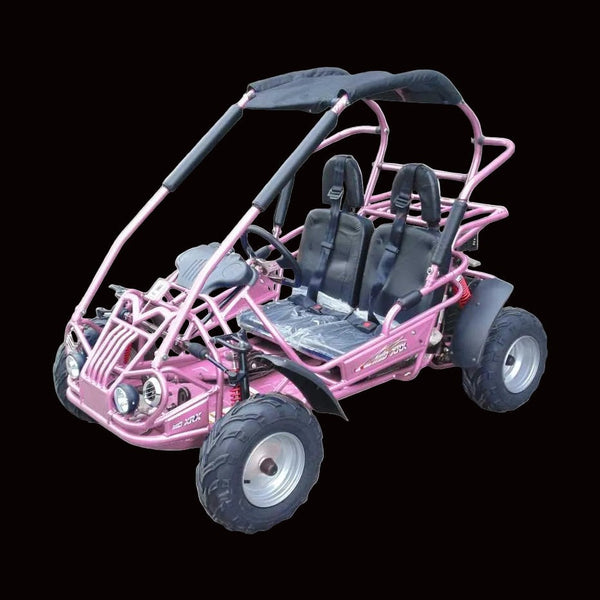 カ*シ様 RALEIGH ラリー CYbERdYNE GLAY RADIOTSモ TM MID 200 XRX/R GO KART BUGGY – TurboPowersports.com