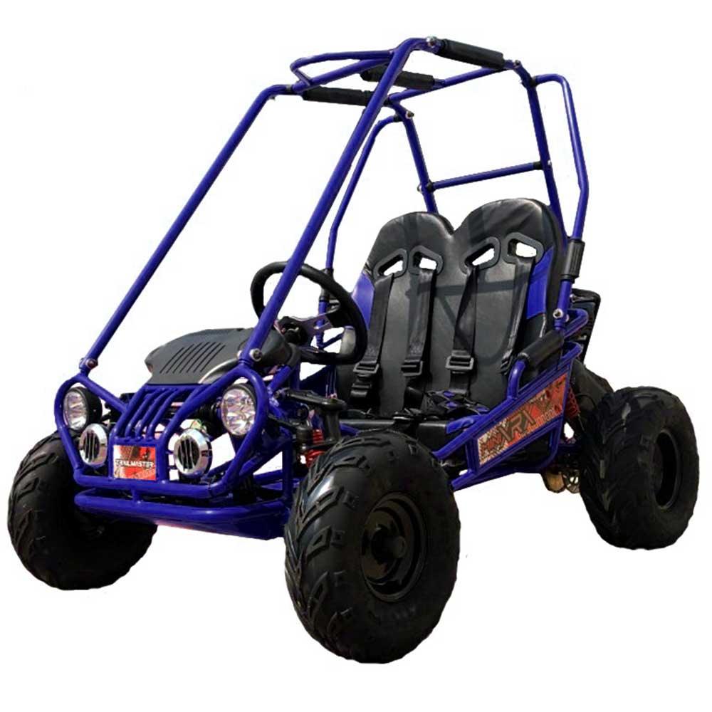TM EAGLE MINI XRX+ GO KART 163cc - TurboPowersports.com