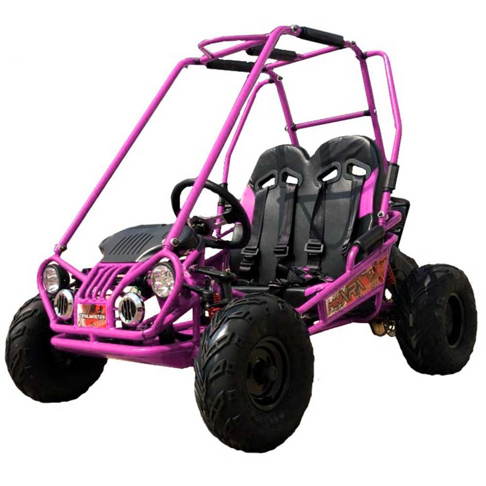 TM EAGLE MINI XRX+ GO KART 163cc - TurboPowersports.com