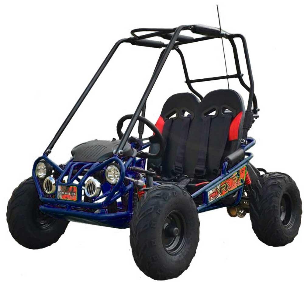 TM EAGLE MINI XRX-R+ PLUS GO KART - TurboPowersports.com