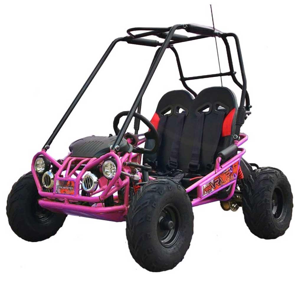 TM EAGLE MINI XRX-R+ PLUS GO KART - TurboPowersports.com