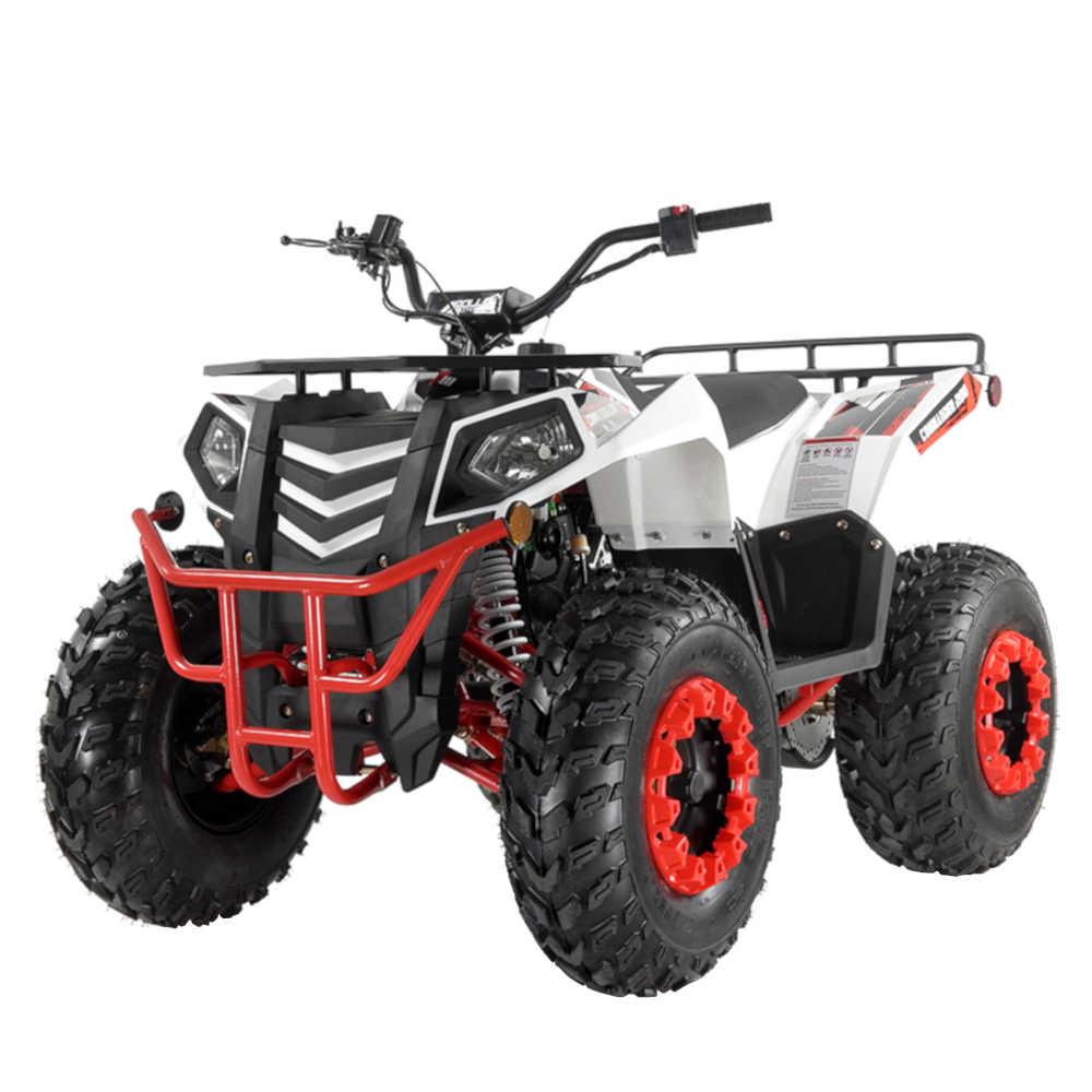 COMMANDER 200CC AUTOMATIC ATV W/ REVERSE - TurboPowersports.com