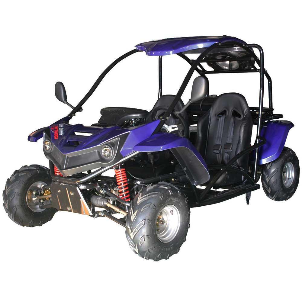 T-REX 125CC AUTOMATIC GOKART - TurboPowersports.com