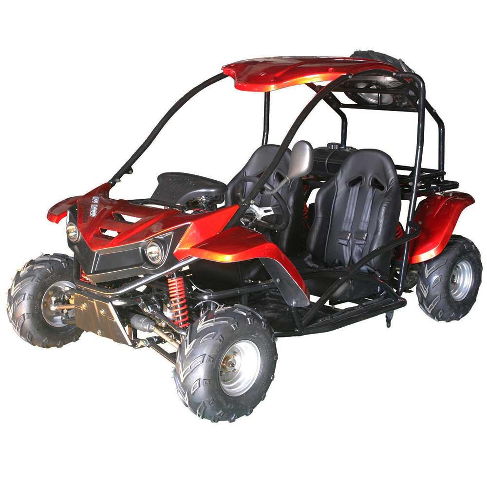 T-REX 125CC AUTOMATIC GOKART - TurboPowersports.com