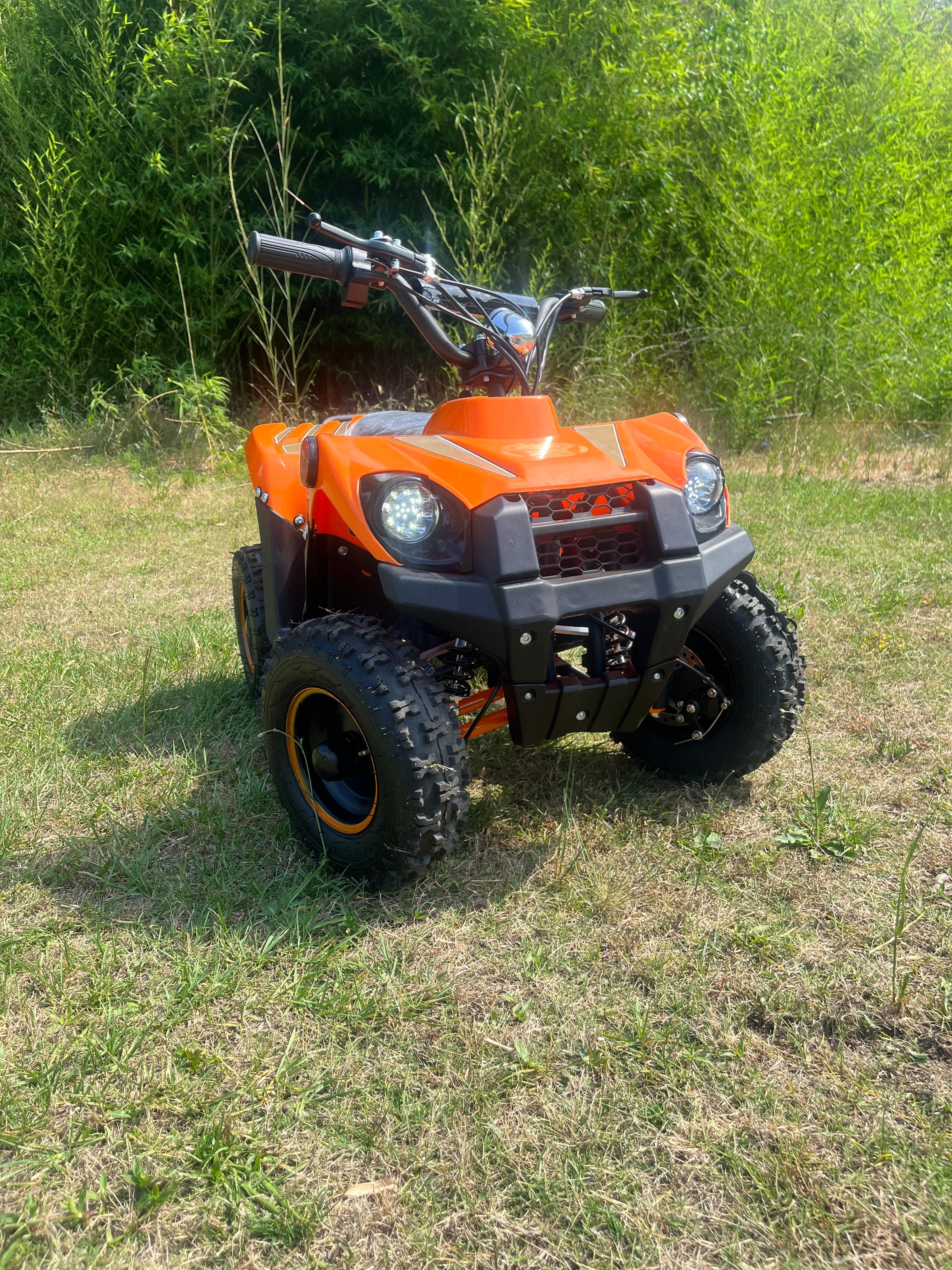 Anaheim Ducks Limited Edition 800W E ATV 72HR SALE