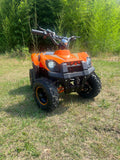 Anaheim Ducks Limited Edition 800W  E ATV