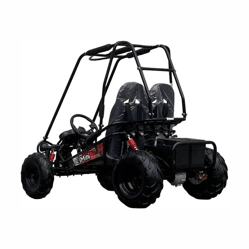 TrailMaster Cheetah 6 black dual-seat go kart with roll cage and knobby tires
