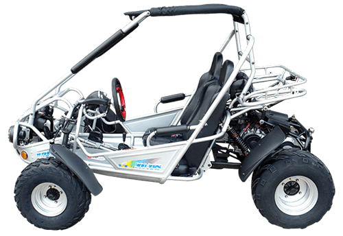 TrailMaster 300XRSE Go Kart | EFI - TurboPowersports.com