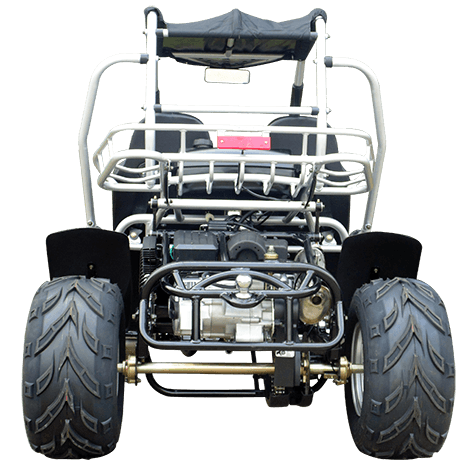 TrailMaster 300XRSE Go Kart | EFI