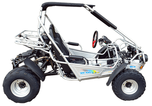 TrailMaster 300XRSE Go Kart | EFI