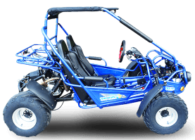 TrailMaster 300XRSE Go Kart | EFI