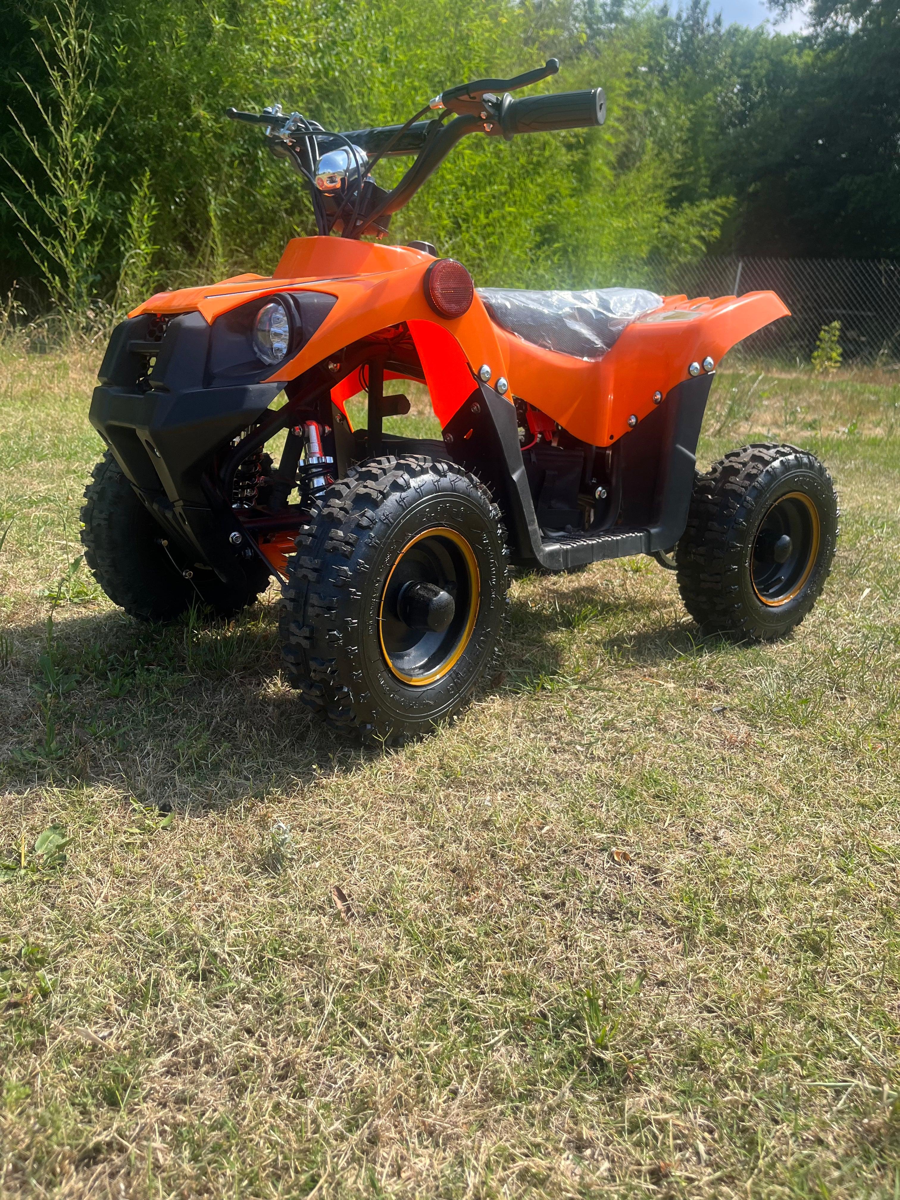 Anaheim Ducks Limited Edition 800W E ATV 72HR SALE - TurboPowersports.com