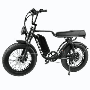 F2 Nakto E- Bikes