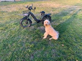 20" ELECTRIC BIKE FAT TIRE FOLDING MINI CRUISER