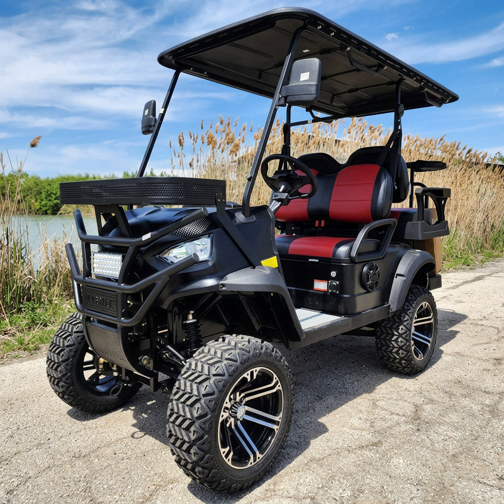 Black electric golf cart with free canopy 