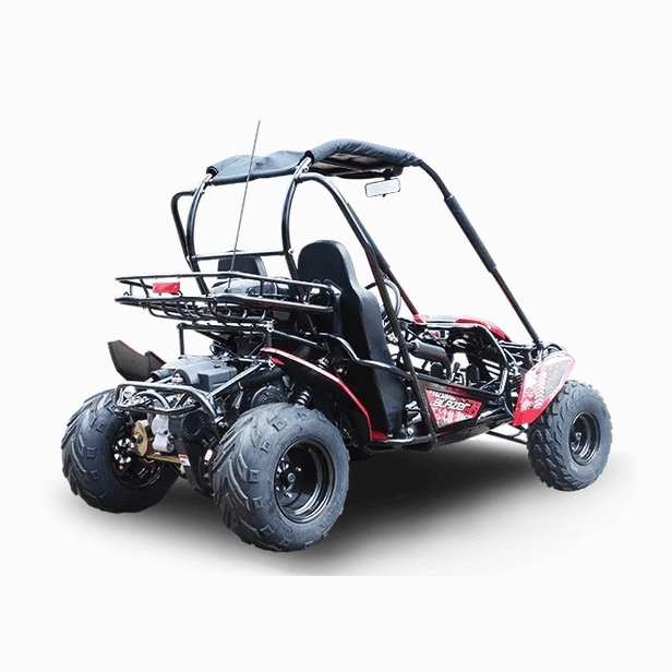 Rear view of red Trailmaster Blazer 200 go-kart displaying engine and suspension