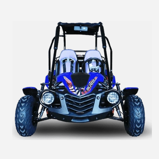 Front view of blue Trailmaster Blazer 200 go-kart with wire mesh headlight guards
