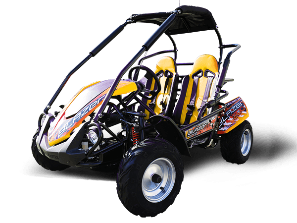 TrailMaster Blazer 200R Go Kart