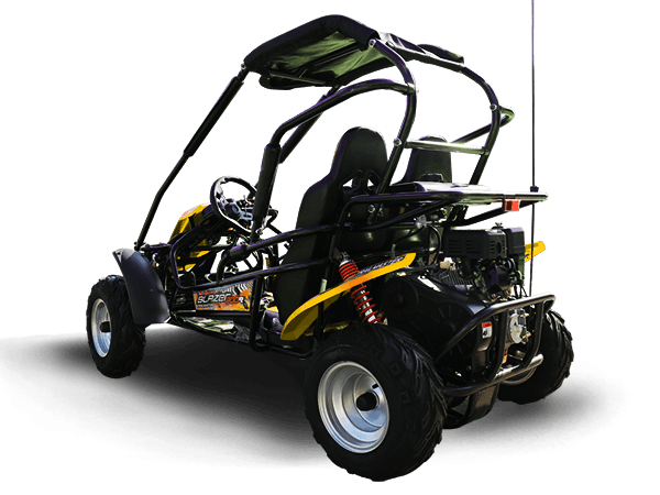 TrailMaster Blazer 200R Go Kart