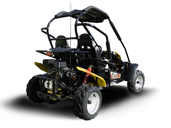 TrailMaster Blazer 200R Go Kart