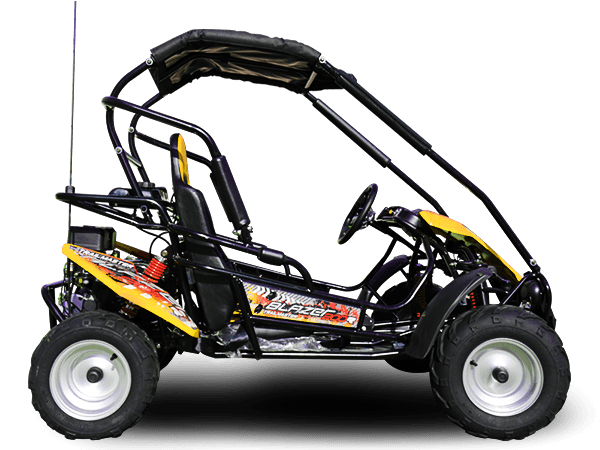 TrailMaster Blazer 200R Go Kart