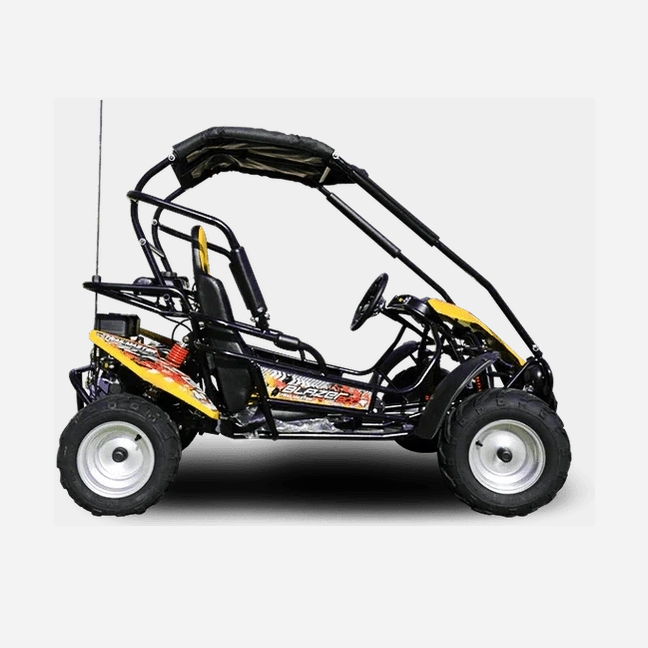 Black and yellow TrailMaster Blazer 200R side view with canopy