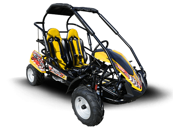TrailMaster Blazer 200R Go Kart
