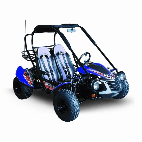 Blue Trailmaster Blazer 200 go-kart with front cargo rack and off-road tires