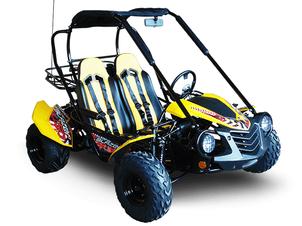 Trailmaster ULTRA BLAZER 200 Go Kart High Back seats, Live Rear Axle, Double A-Arms, Coil Over Shocks