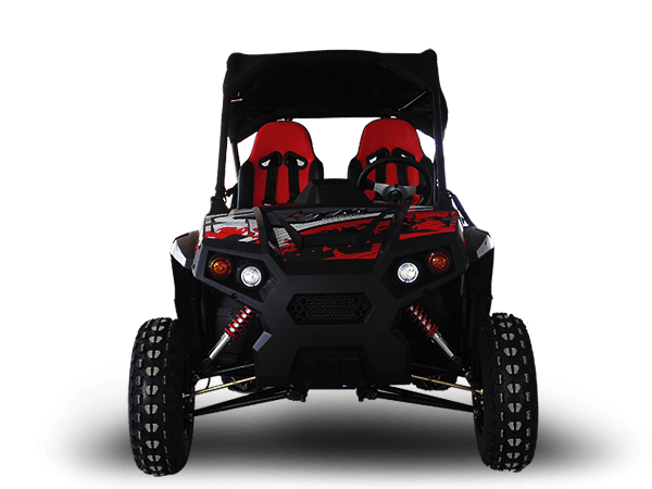 Vehículo utilitario deportivo TrailMaster Challenger 300E | EFI