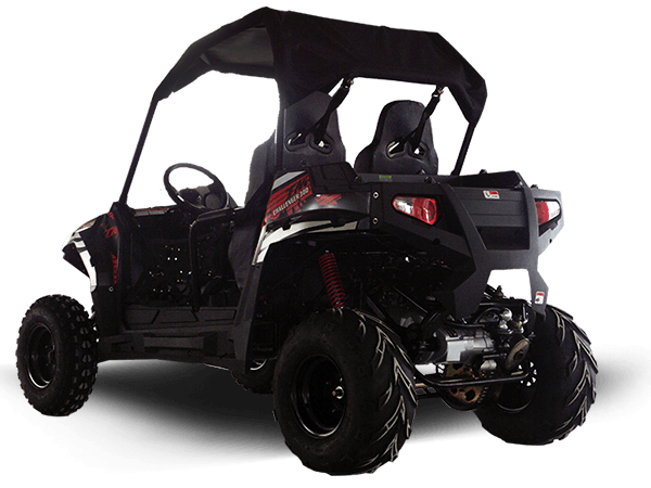 Vehículo utilitario deportivo TrailMaster Challenger 300E | EFI