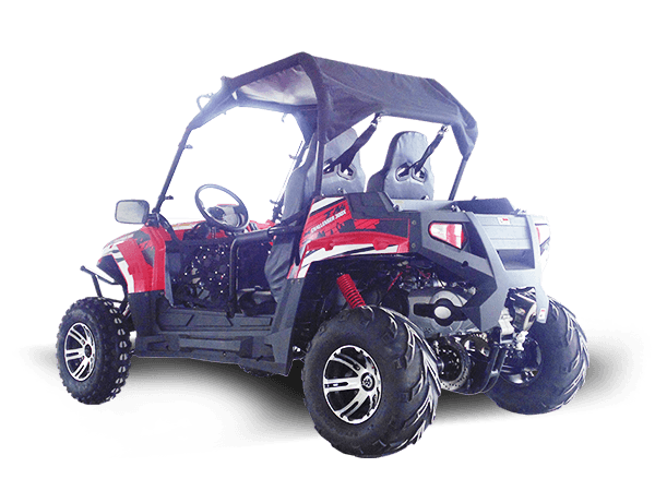 Vehículo utilitario deportivo utilitario TrailMaster Challenger 300EX de dos ruedas | EFI