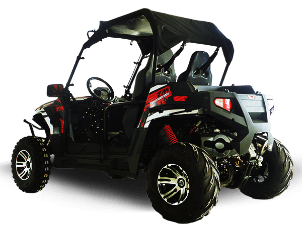 Vehículo utilitario deportivo utilitario TrailMaster Challenger 300EX de dos ruedas | EFI