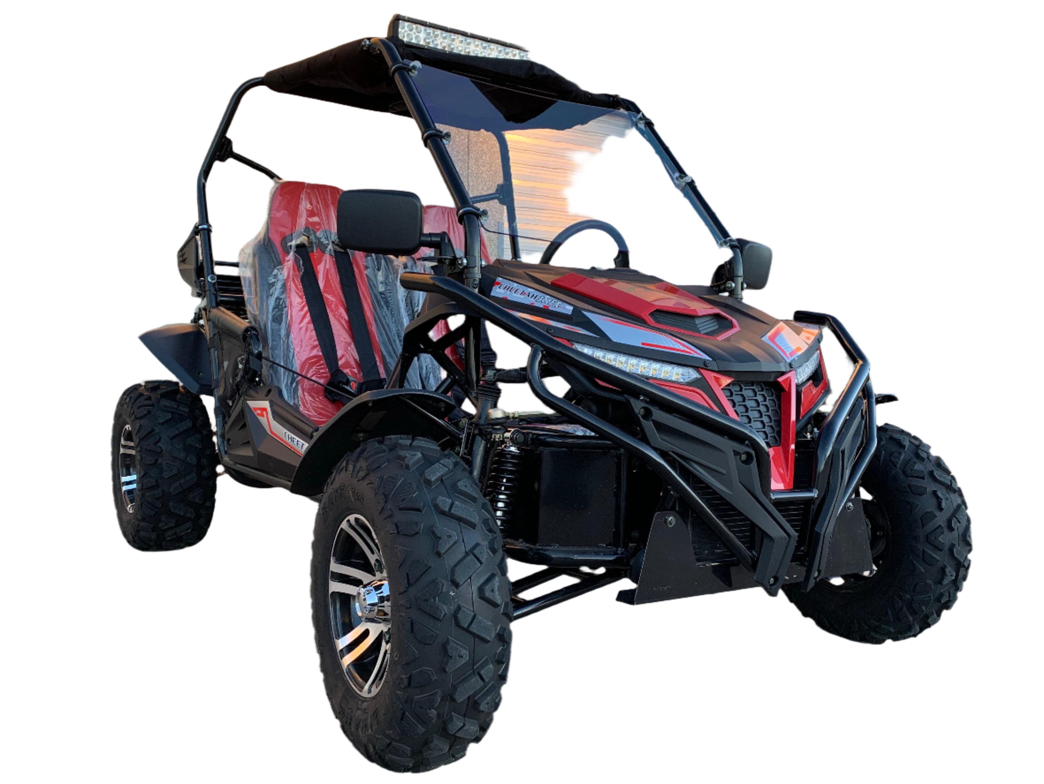 Trailmaster Cheetah 300EX Off Road UTV/Go kart | Fuel Injected Deluxe Adult Version, Center pivot rear end, water cooled motor