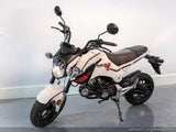 HELLCAT 125 4 Speed Manual GROM SCOOTER