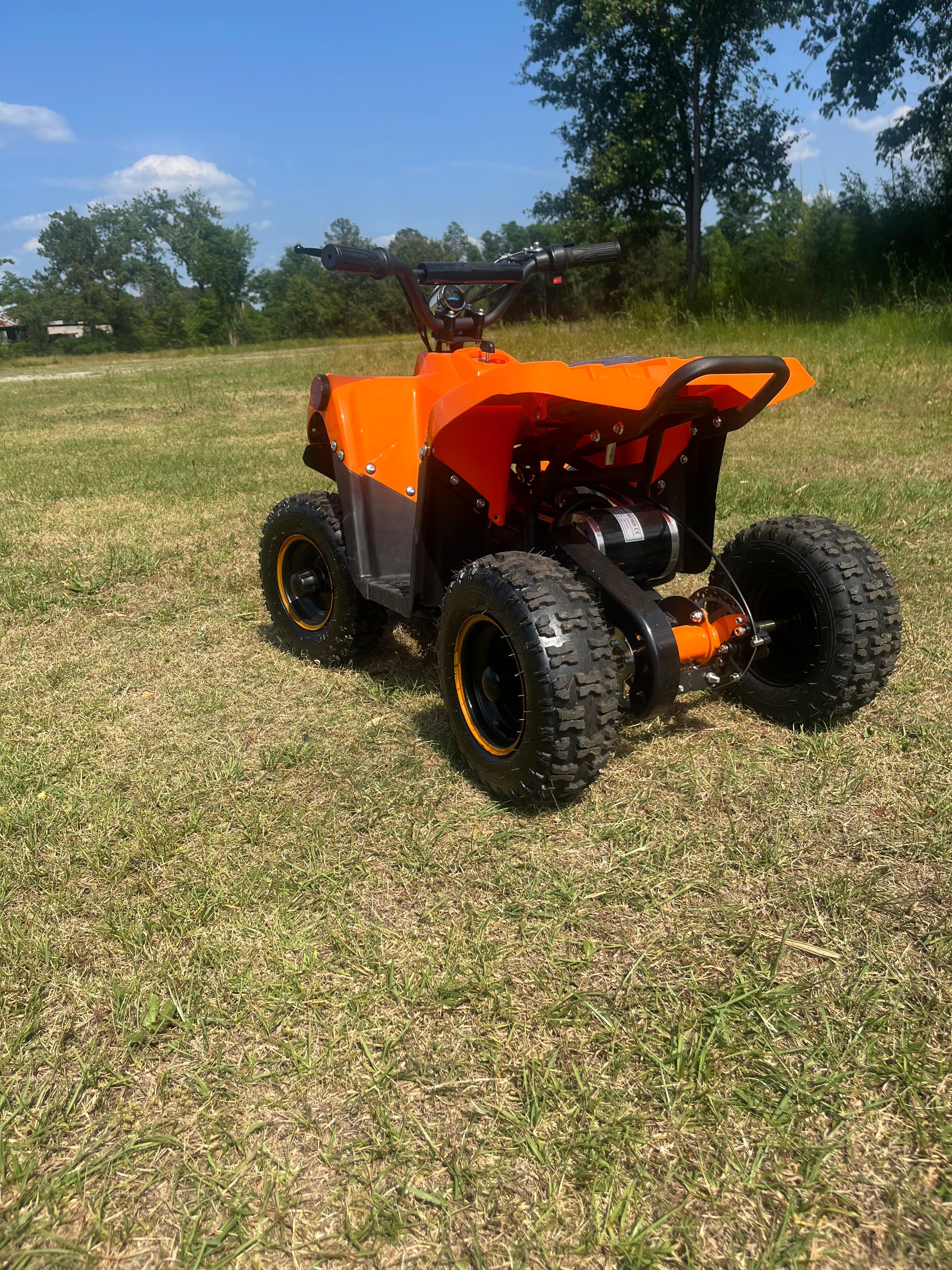 Anaheim Ducks Limited Edition 800W E ATV 72HR SALE