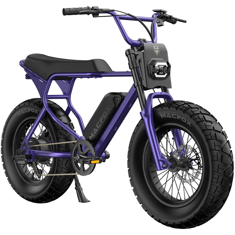 🚴 Supercharged Fat-Tire Electric Bike
