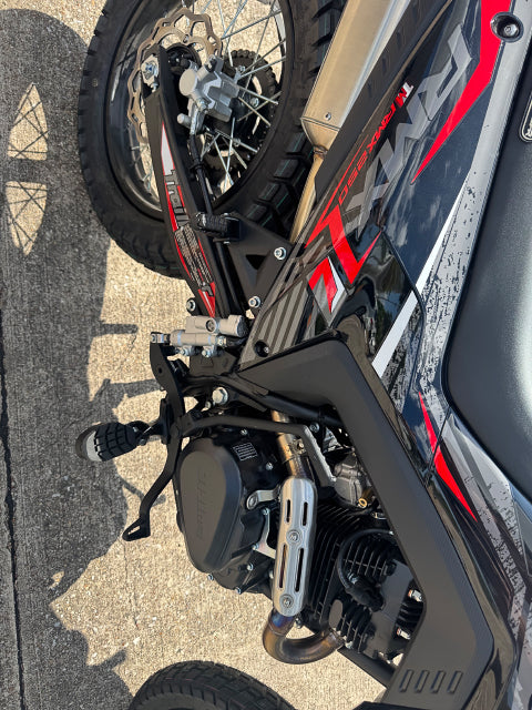 Close-up of TrailMaster RMX250 rear wheel, disc brake, and swingarm linkage