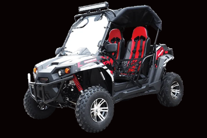 TrailMaster Challenger 200X Side x Side UTV - TurboPowersports.com
