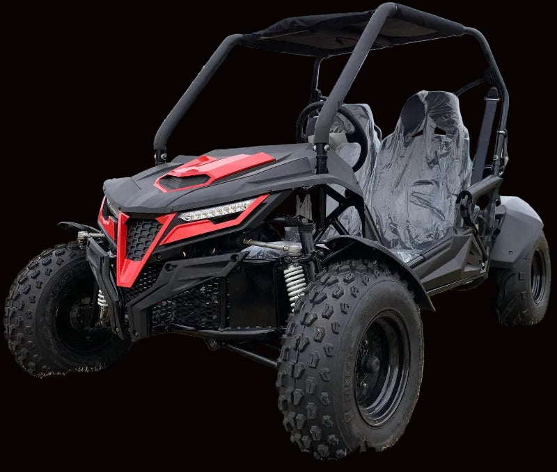 Trailmaster Cheetah 200EX Off Road UTV / Go Kart / side-by-side Wind Shield, Light bar, Spare Tire, Upgraded Center Pivot rear end, Fuel Injected - TurboPowersports.com