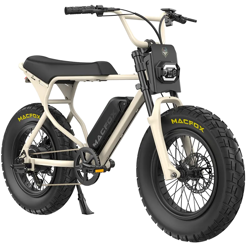 🚴 Supercharged Fat-Tire Electric Bike